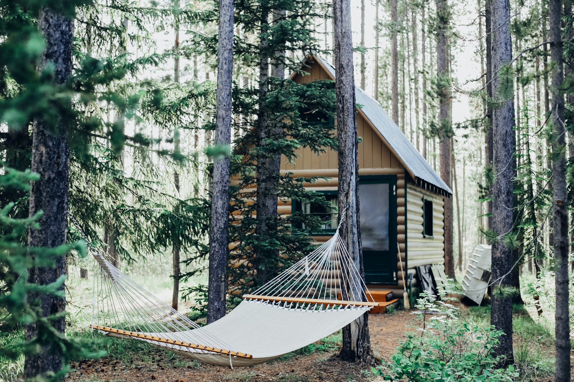A welcoming vacation cottage surrounded by trees